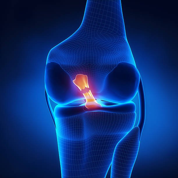 Acl ligament treatment Chandrapur