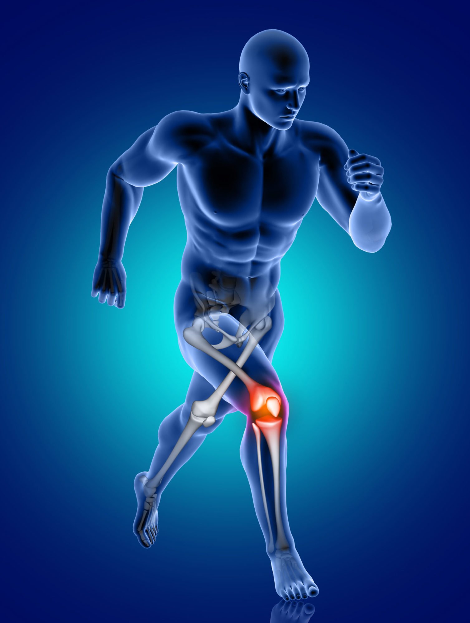 Acl ligament treatment Harda