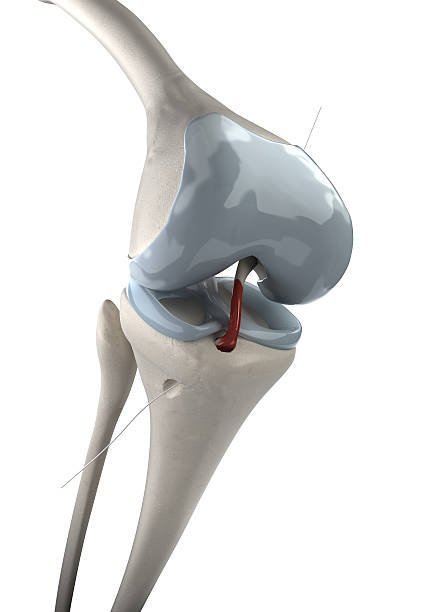 Acl ligament treatment Hoshangabad