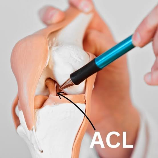 Acl ligament treatment Rewa